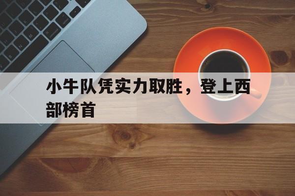 小牛队凭实力取胜，登上西部榜首