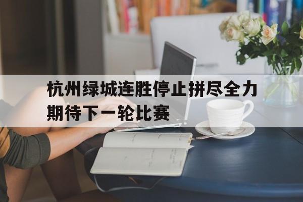 杭州绿城连胜停止拼尽全力期待下一轮比赛