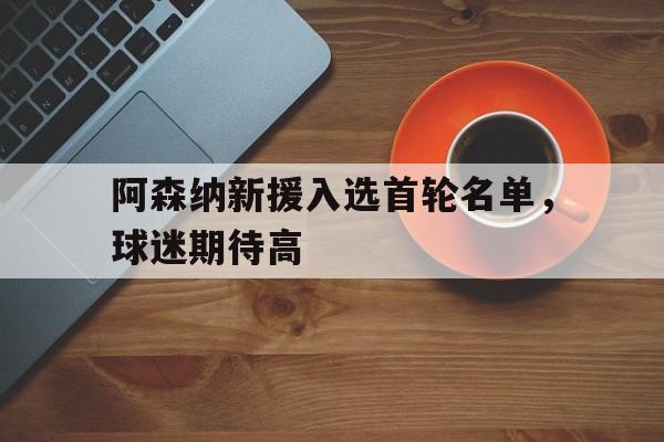 阿森纳新援入选首轮名单，球迷期待高